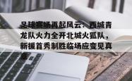 关于足球赛场再起风云：西城青龙队火力全开北城火狐队，新援首秀制胜临场应变见真章的信息-安博网页版